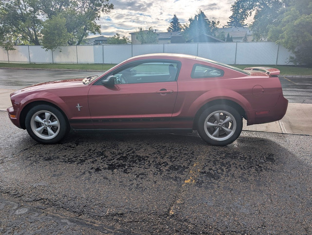 2006 Mustang V6 Pony Package Low KMS in Cars & Trucks in Edmonton - Image 3