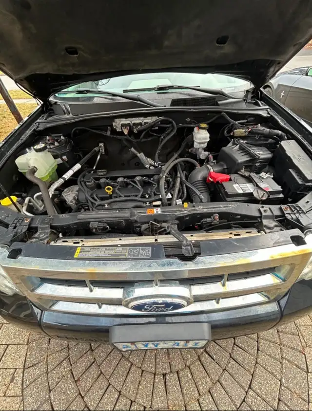 2010 Ford Escape472304585593344003
