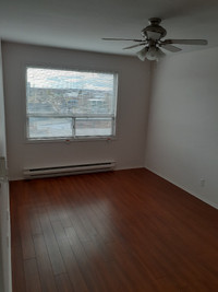 Looking for a roommate in a 2 bedroom Aprt Downtown Moncton