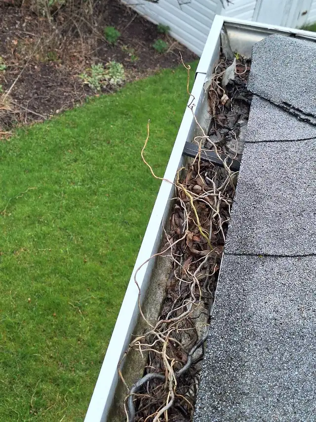 gutter cleaning65403973542529124