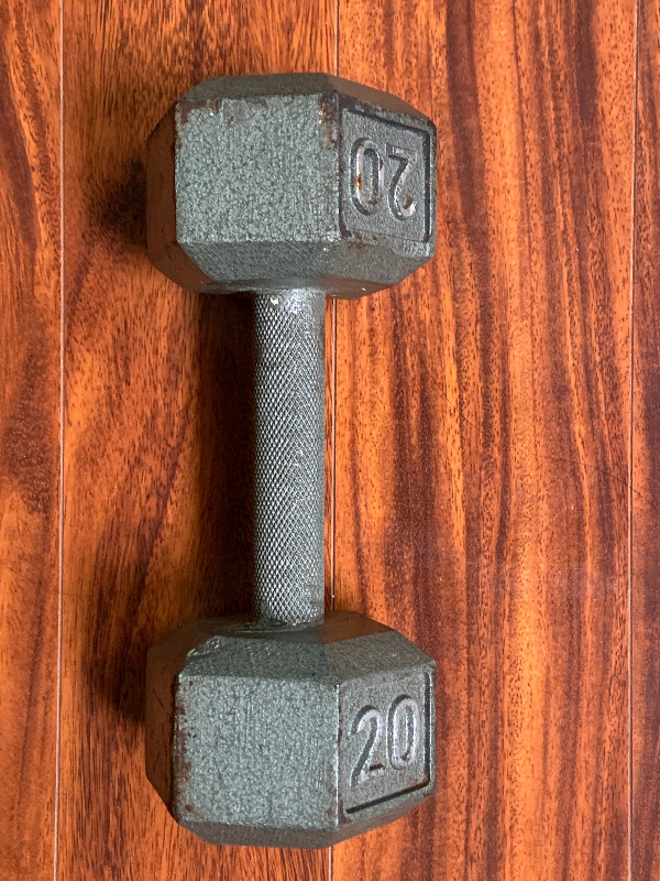 20lb dumbbell-1 in Exercise Equipment in City of Halifax
