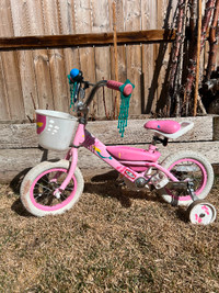 Trek Mystic 12” wheel toddler girls bike