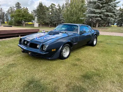 Will consider trades Will look at all trade 1975 Pontiac Firebird Trans Am 455HO Fully built top to...