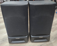 Pioneer speaker system 