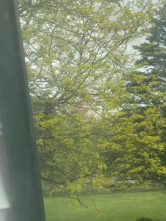Gardening Help Needed472308437809244160