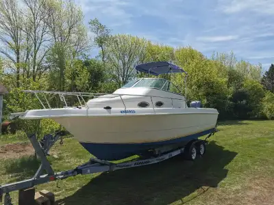 Pro-line Walk around 251 1997 model but refitted in 2021. 2018 Yamaha F300. Garmin GPS/fish finder T...