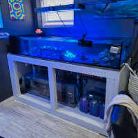 Saltwater tank for sale