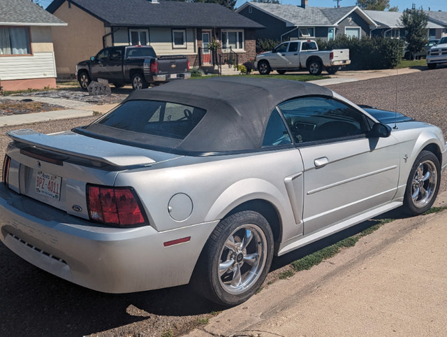 2003 Mustang Convertible in Cars & Trucks in Medicine Hat - Image 2