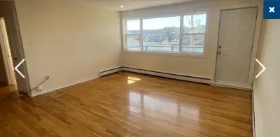 1b1b appartment submit least
