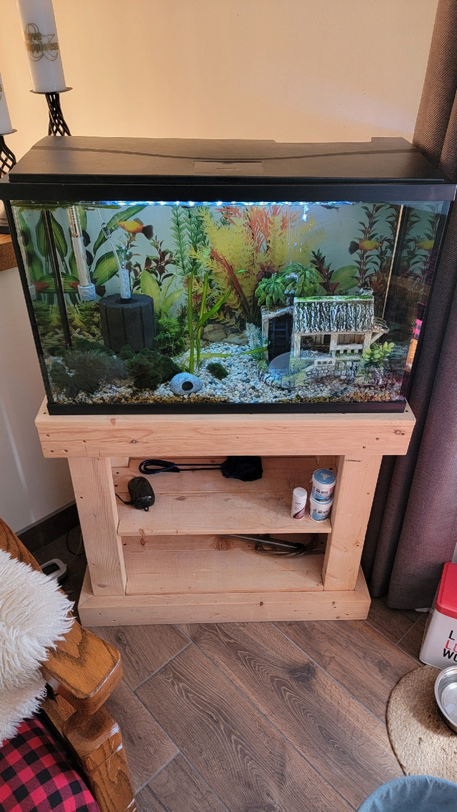Fish tank/stand/fish | Fish for Rehoming | Winnipeg | Kijiji