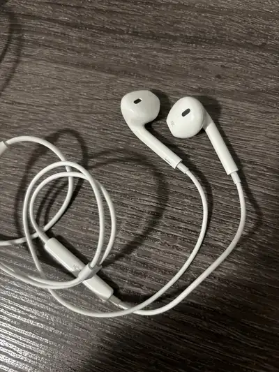 Apple earphones. Barely used. In great condition.