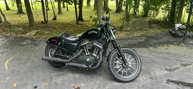 2014 Harley Davidson Iron 883 Sportster in Street, Cruisers & Choppers in Hamilton - Image 2