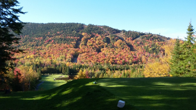 2  jolis Terrains à vendre Adstock près du Mont-Adstock, golf dans Terrains à vendre  à Thetford Mines