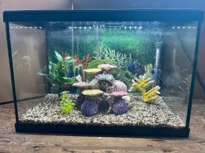 Located on Gore rd., Puslinch Comes with: 20g tank (holds water) Hang on back filter rated for 30 ga...