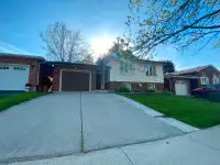 Brantford Newly Renovated Detached Home