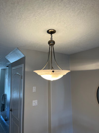 Hanging Dining Room / Chandelier Light Fixture