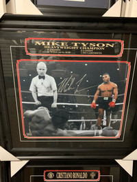 MMA and boxing - various professionally framed pictures 