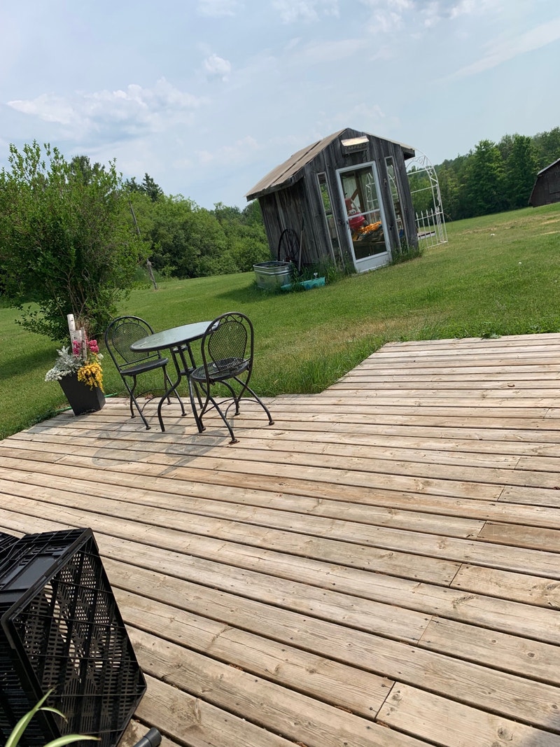 1 Bedroom Country Apartment Room Rentals & Roommates Peterborough