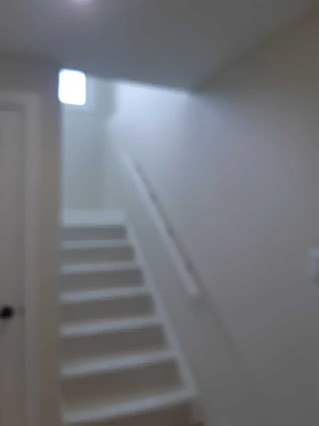 Painter for Hire64959957781507120