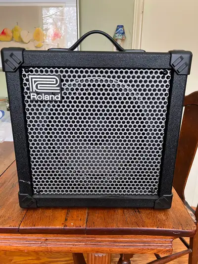 Roland CUBE 30 Amplifier, View more