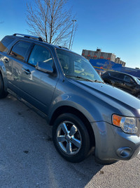 2010 ford escape limited 