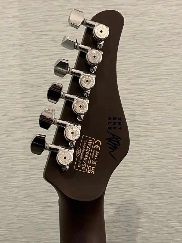 Schecter AM-6 (Aaron Marshall Signature Guitar) in Guitars in City of Toronto - Image 6