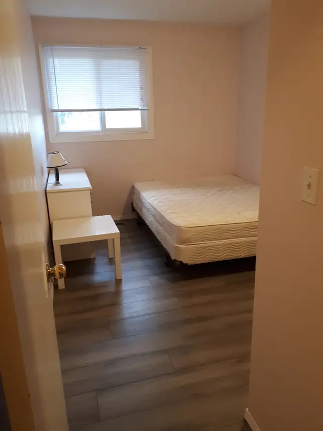 Room for rent Red Deer $700/month