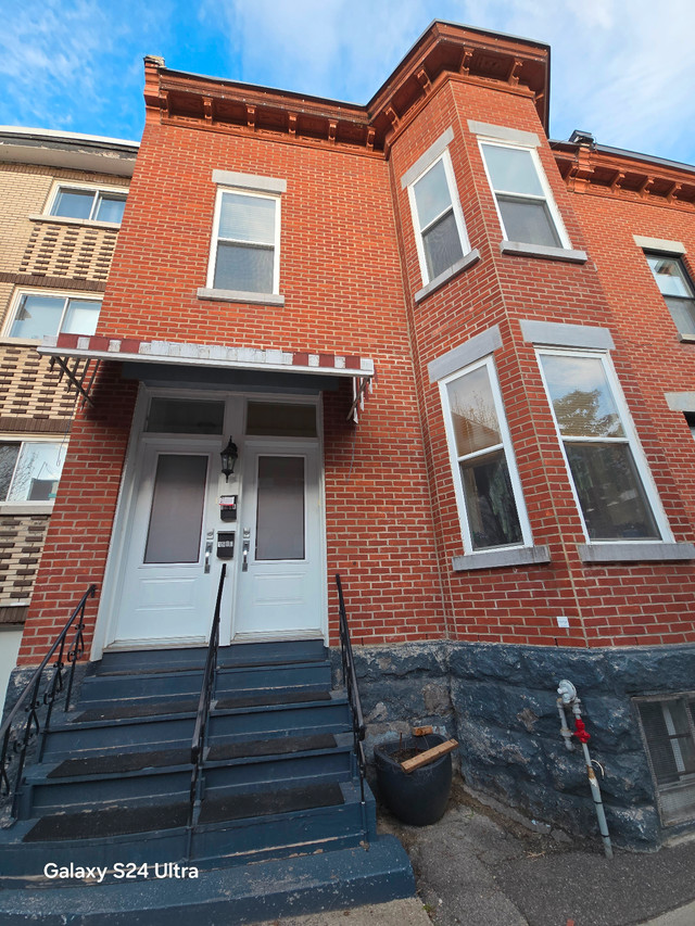 Spacious Duplex Apartment in Pointe-Saint-Charles dans Locations longue durée  à Ville de Montréal