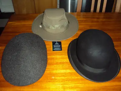 Magnifiques chapeaux. Notez que le prix est différent pour chacun. Très propres, maison sans fumée e...