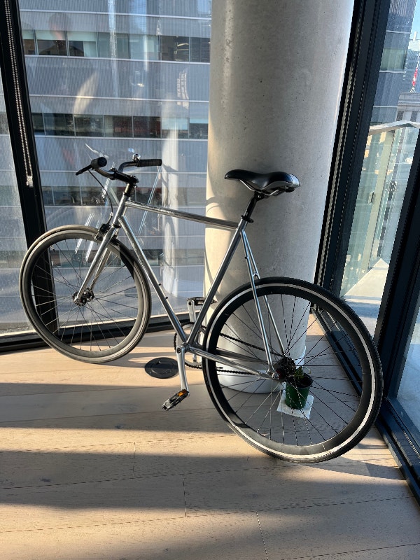 Fixie Single Speed Road Bike Regal Brand Fixie (Single Speed