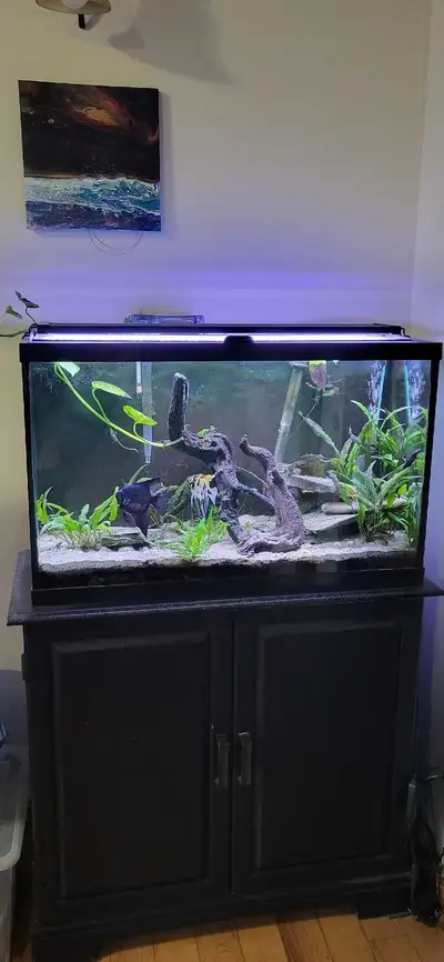 29 Gallon Aquarium, View more