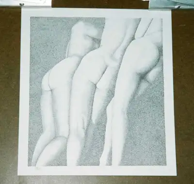 THIS DETAILED BLACK AND WHITE PRINT OF AN INK DRAWING IS COMPOSED ENTIRELY OF DOTS. THE SIZE OF THE...