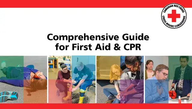 2-day Standard First Aid/Level C CPR/AED course-Intermediate in Classes & Lessons in Fredericton - Image 9