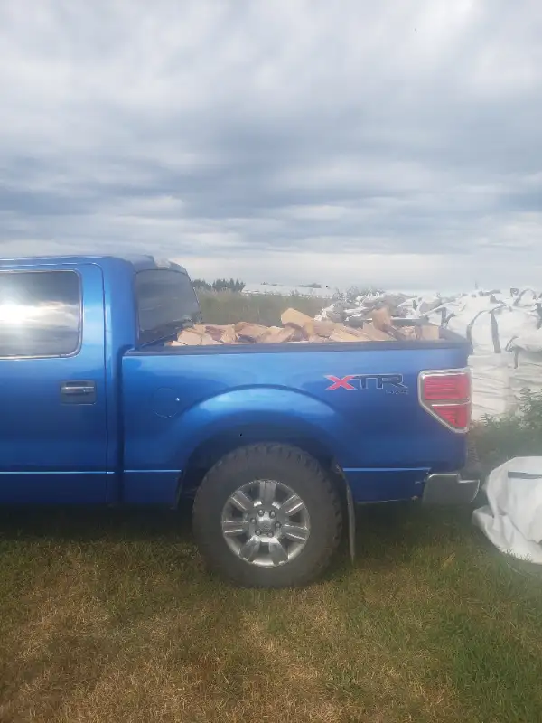 POPLAR/TAMARACK/BIRCH FIREWOOD FOR SALE62863277310593123