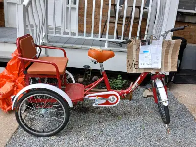 Tricycle Fuchikang à 3 roues, View more
