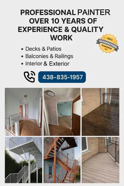 Professional painter , View more