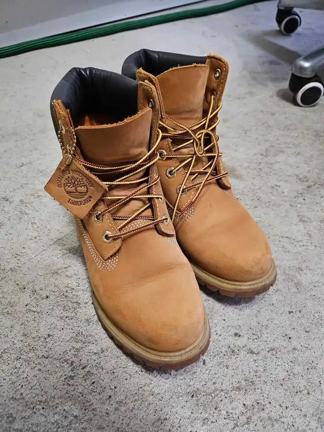 Womens Timberland 8M63611955658241120