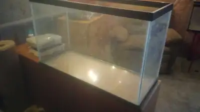 30 and 20 gallon fish tanks + filter,heater,ph device. 120 meridian loop sonty plain, give me a text...