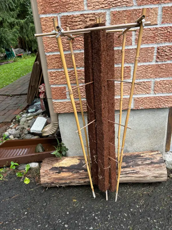 Plant Support in Other in Ottawa - Image 2