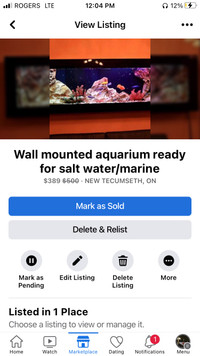 10 gallon wall aquarium 