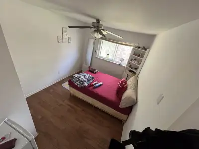 Private Room for Rent (September to December)