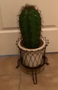 Cactus  /plante artificielle  et pots 