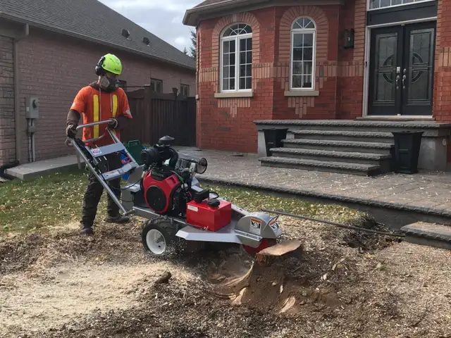 Tree Removal 62863241442433122