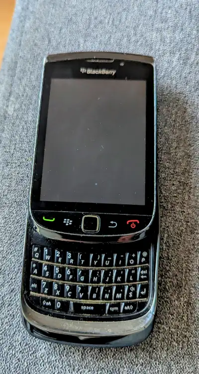 Blackberry Torch, View more