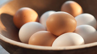 Farm  Fresh Eggs