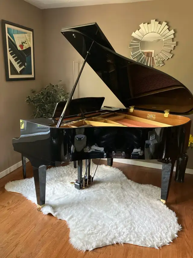 Piano Lessons64186411457282120