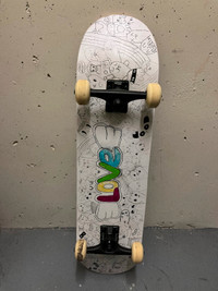 Skateboard complete