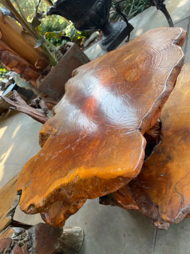 Unique Teak Root Display Stand in Outdoor Décor in Kamloops - Image 6