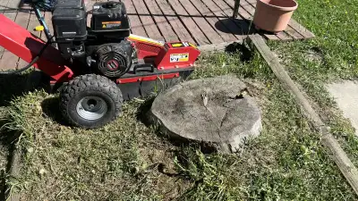 Stump Removal, View more