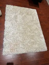 Thick Luxe Shag Rug